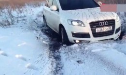 哈佛最新爆料消息今天视频,揭秘今日重大视频事件内幕