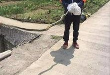 筠连网友爆料最新新闻,最新新闻事件引发关注