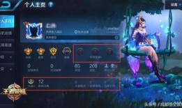 王者新衣服爆料最新版