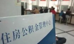 新疆民生爆料最新情况,聚焦民生热点，揭示社会变迁