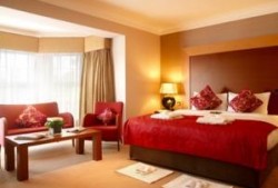 新瓜最新爆料婚房视频,明星婚房内部曝光，奢华程度令人咋舌