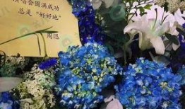 花篮网爆料最新,娱乐圈最新热点事件幕后真相