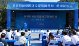 蕲春论坛爆料新闻最新,揭秘当地民生热点事件！