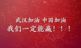 武汉黄鹤楼爆料视频最新,揭秘武汉地标建筑背后的故事