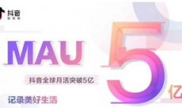 抖音热点爆料案例大全最新,揭秘最新案例背后的真相与启示