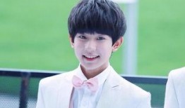 王源爆料贴吧最新消息,揭秘娱乐圈不为人知的幕后故事