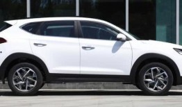 哈佛最新爆料消息今天视频,揭秘今日重大视频事件内幕