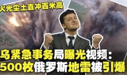 最新俄罗斯爆料视频大全,真相与争议并存