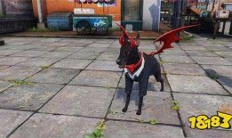 明日之后周年庆最新爆料,全新爆料揭秘惊喜福利