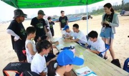 长沙夏令营爆料案件最新,揭秘背后的惊人真相