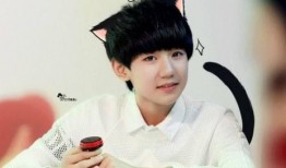 王源爆料贴吧最新消息,揭秘娱乐圈不为人知的幕后故事