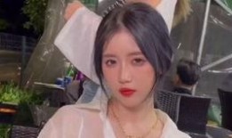 刘芸爆料视频大全播放最新,揭秘娱乐圈幕后真相