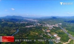 陆河新闻爆料事件最新消息