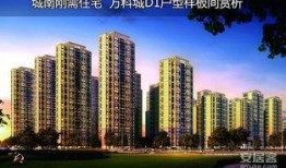 万科城爆料最新消息,揭秘神秘项目进展与未来规划