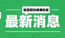 最新爆料模板大全