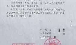 最新违法强拆爆料案判决书,捍卫公民财产权，严惩非法拆违行为