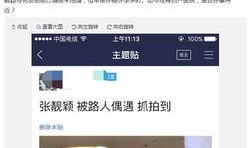 北京刘先生最新爆料视频