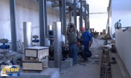 南阳三胶厂爆料视频最新,揭秘行业黑幕背后的真相