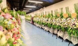 花篮网爆料最新,娱乐圈最新热点事件幕后真相