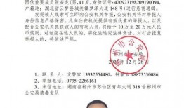 郏县辅警最新爆料公告公示,公告公示揭露真相