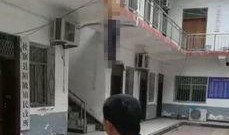 南阳三胶厂爆料视频最新,揭秘行业黑幕背后的真相