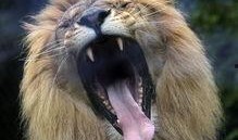 国际热点爆料入口最新,国际热点爆料入口最新动态盘点”