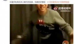 最新忠嫂爆料视频大全,揭秘娱乐圈不为人知的真相