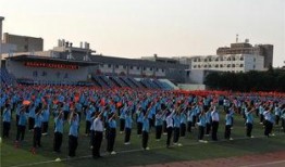 西农附中最新爆料,揭秘校园变革与未来展望