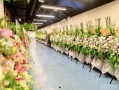 花篮网爆料最新,娱乐圈最新热点事件幕后真相